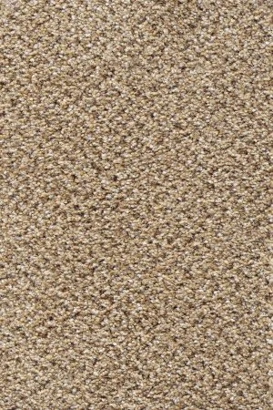 Ковровое покрытие AW Stainaway Tweed 50 - (4м) в Ижевске