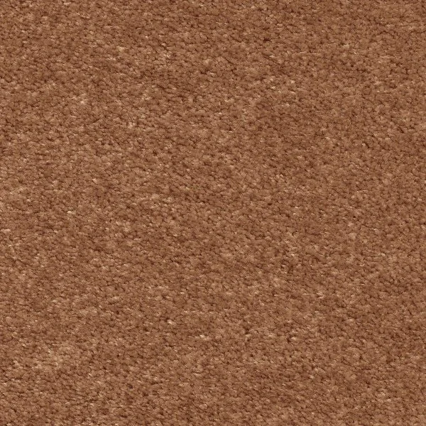 Ковровое покрытие AW Euphoria 84 - (5м) в Ижевске