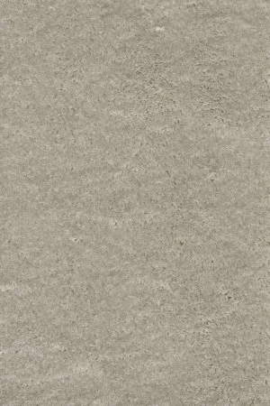 Ковровое покрытие AW Fedone 90 - (5м) в Ижевске