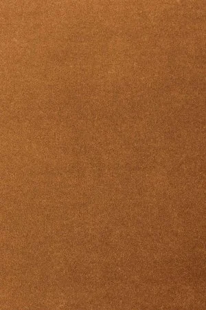 Ковровое покрытие AW Oinone 84 - (4м) в Ижевске