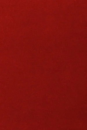 Ковровое покрытие AW Oinone 10 - (5м) в Ижевске