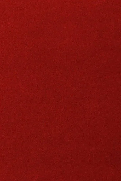 Ковровое покрытие AW Oinone 10 - (5м) в Ижевске