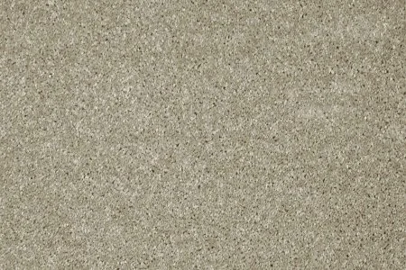 Ковровое покрытие AW Gala 03 - (5м) в Ижевске