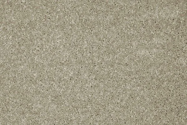 Ковровое покрытие AW Gala 03 - (4м) в Ижевске