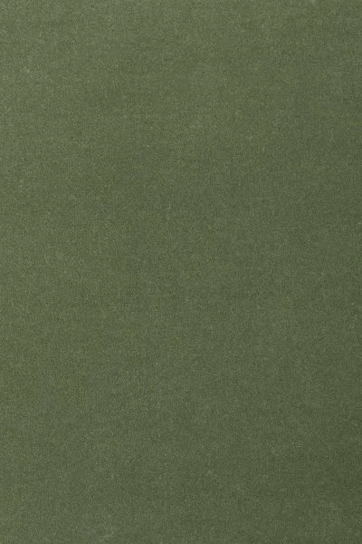 Ковровое покрытие AW Oinone 24 - (4м) в Ижевске