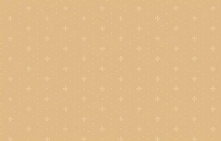 Обои Milassa Neo Classic Neo6, 004 в Ижевске