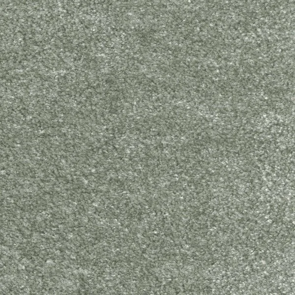 Ковровое покрытие AW Euphoria 28 - (5м) в Ижевске