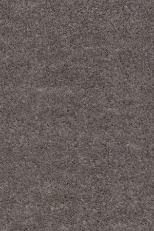 Ковровое покрытие AW Euphoria 45 - (4м) в Ижевске