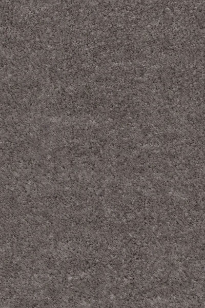 Ковровое покрытие AW Euphoria 45 - (4м) в Ижевске