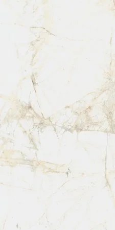 Керамогранит Coliseum Канова Уайт 60х120 (Натуральный и Реттифицированный) в Ижевске