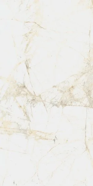 Керамогранит Coliseum Канова Уайт 60х120 (Натуральный и Реттифицированный) в Ижевске