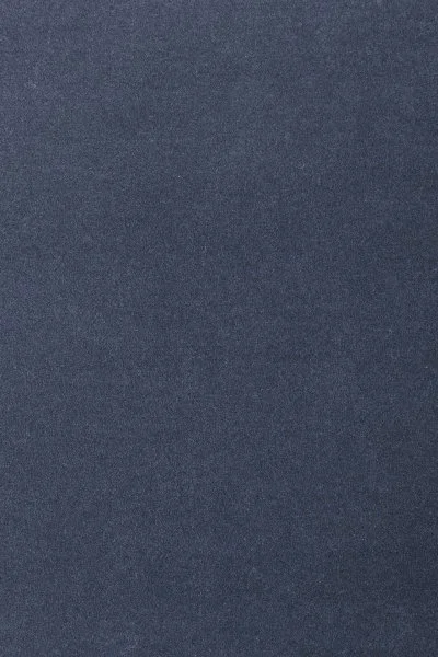 Ковровое покрытие AW Oinone 78 - (4м) в Ижевске