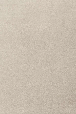 Ковровое покрытие AW Oinone 39 - (5м) в Ижевске