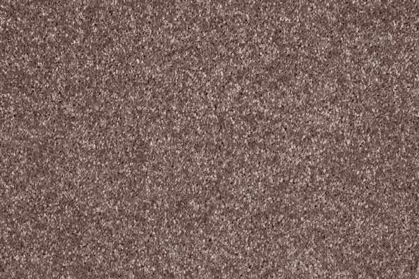 Ковровое покрытие AW Gala 60 - (5м) в Ижевске