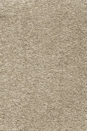 Ковровое покрытие AW Omnia 33 - (3м) в Ижевске