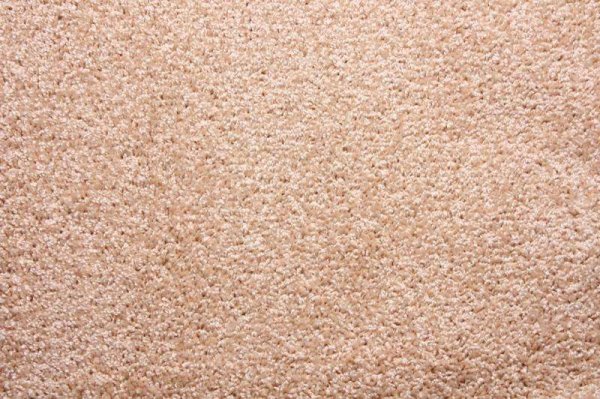 Ковровое покрытие Zartex Фортуна 004 кремовый - 3 м в #REGION_NAME_DECLINE_PP#