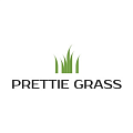 Искусственная трава Prettie Grass купить в Ижевске по выгодной цене Искусственная трава Prettie Grass в Ижевске