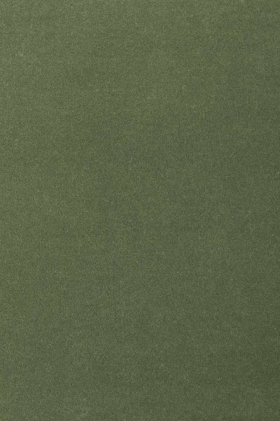 Ковровое покрытие AW Oinone 24 - (4м) в #REGION_NAME_DECLINE_PP#